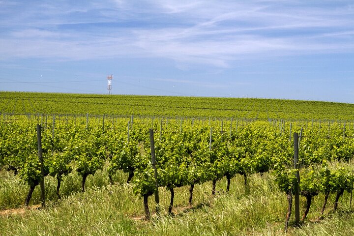 Full Day Private Transfer - Lisbon to Algarve Tour - Image 3