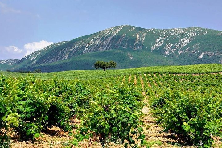 Full Day Private Wine Tour in Arrabida - Image 1