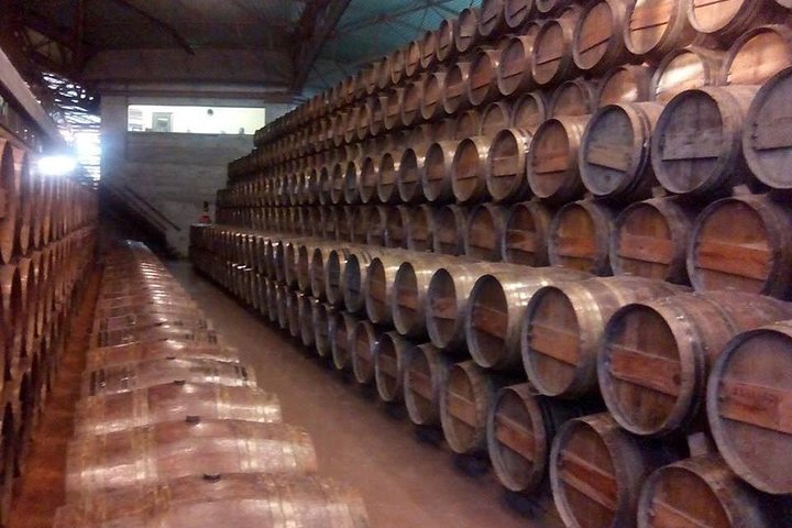 Full Day Private Wine Tour in Arrabida - Image 2