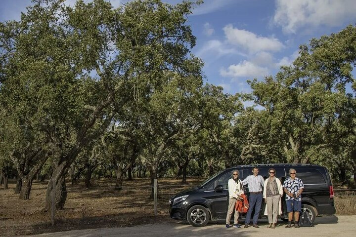 Half day Private Tour in Historical Lisbon Center Tasting - Image 5