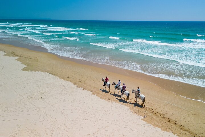 Horseback Riding, 4 Options-Mountain, Lesson Ring, Beach (2Hours) - Image 4