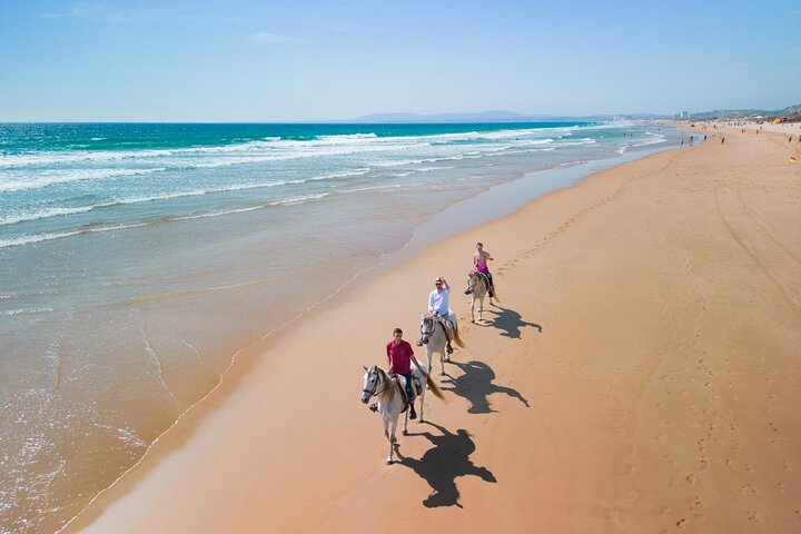Horseback Riding, 4 Options-Mountain, Lesson Ring, Beach (2Hours) - Image 3