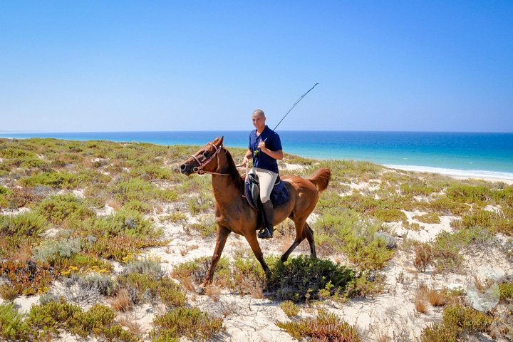 Horses In The Sand - Image 5
