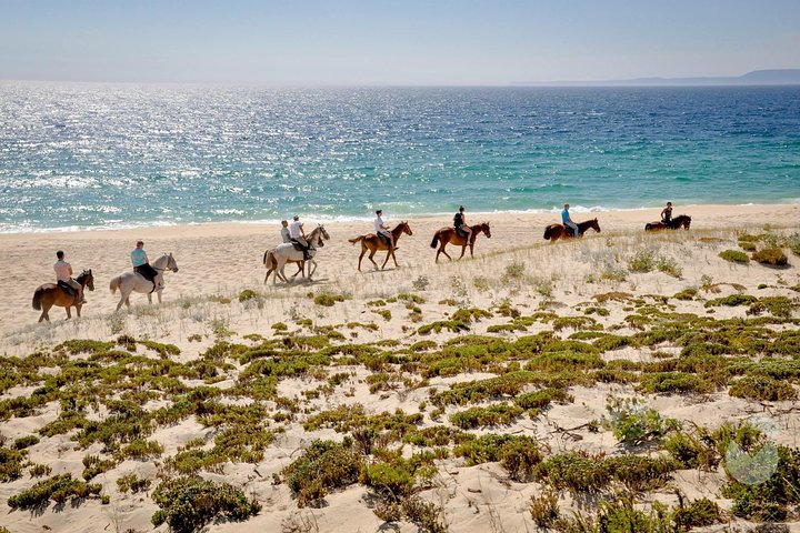 Horses In The Sand - Image 2