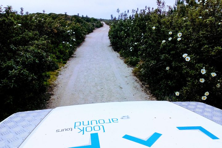 Jeep tour to Espichel Cape Mysteries & Wild beaches - Image 5