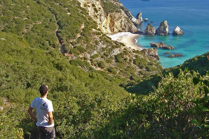 Lisbon Active Tourism - Diving in Arrábia - Sesimbra - Image 5