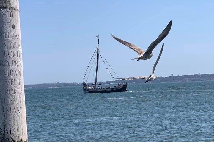 Lisbon City Private Tour - Image 5