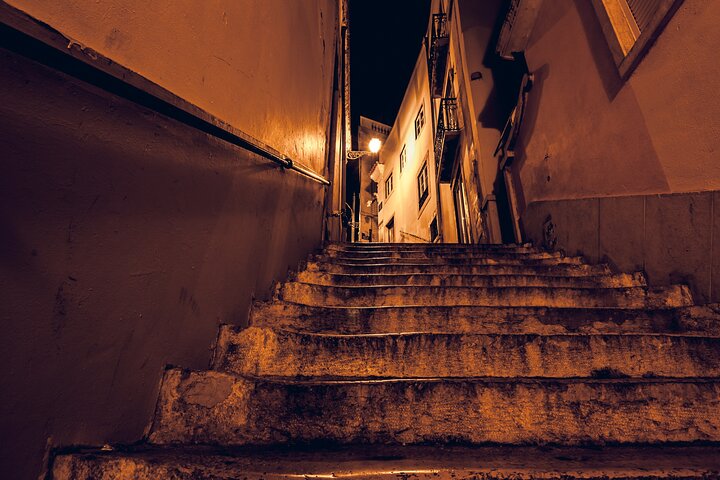 Lisbon Fado Dinner Show and Panoramic Night Tour - Image 2