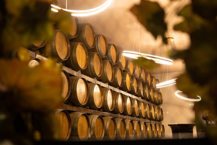 Lisbon Luxury Tagus Wine Tour Experience  - Image 1