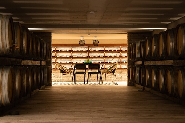 Lisbon Luxury Tagus Wine Tour Experience  - Image 4