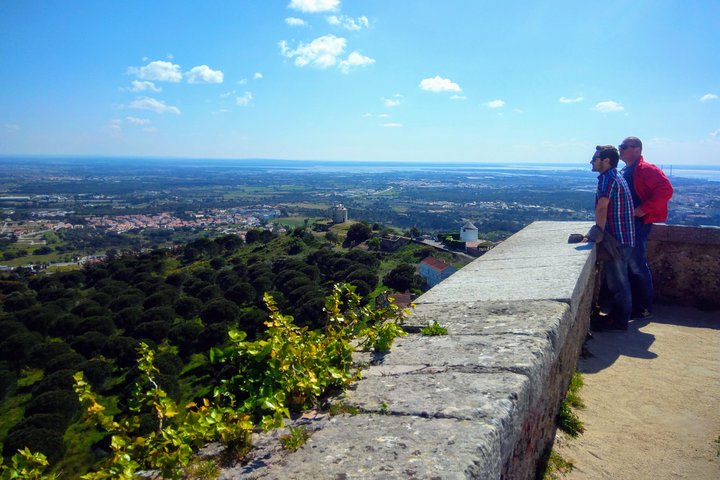 Lisbon & The South Side Wine Regions Private Luxury Tour - Image 4