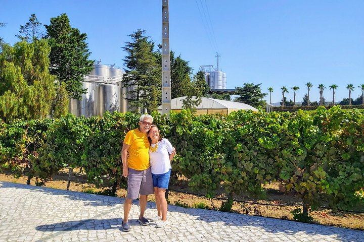 Lisbon & The South Side Wine Regions Private Luxury Tour - Image 2
