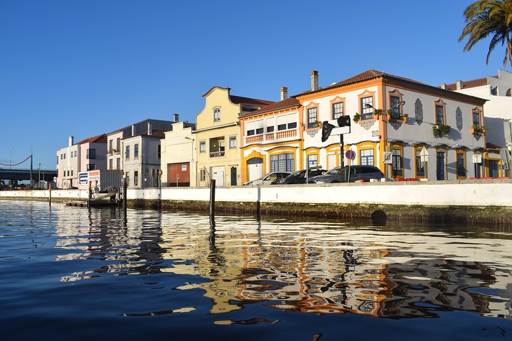Lisbon to Porto Private Tour stoping in Coimbra and Aveiro - Image 2