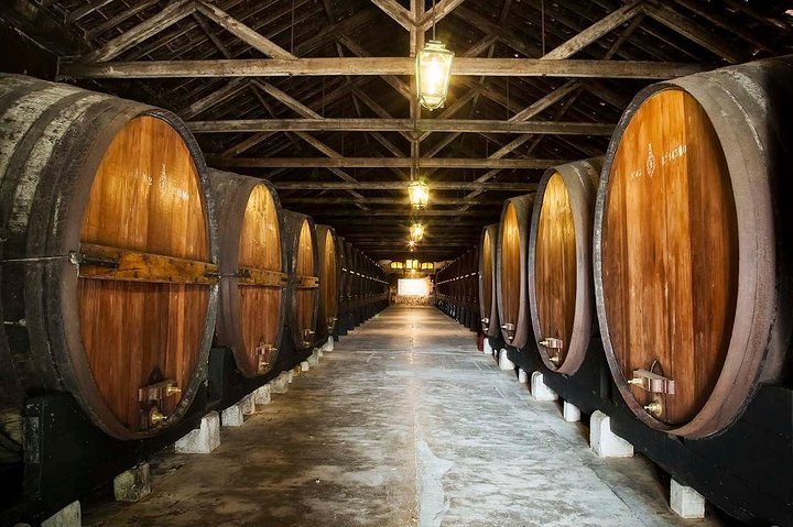Nature, Wines & Ceramic Tiles: Private Tour - Image 4