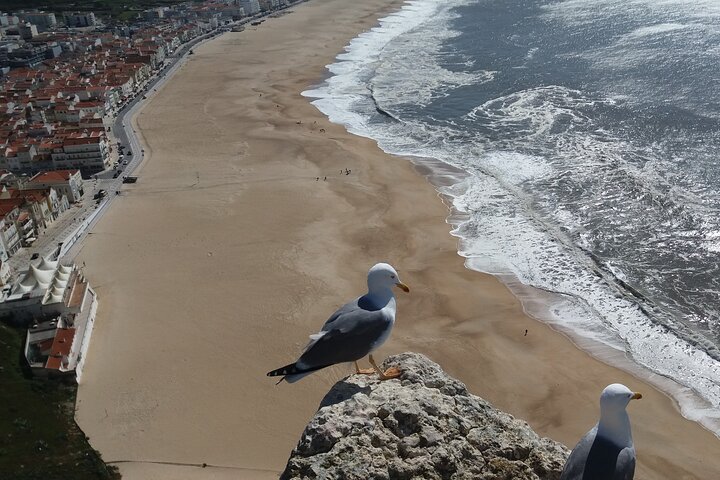 Nazaré Express; Home to the biggest waves in the world. - Image 4