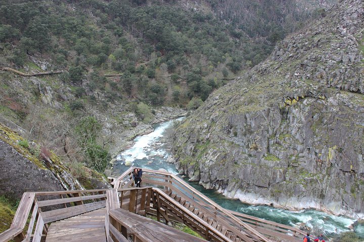 Paiva Walkways - Private Tour - Image 5