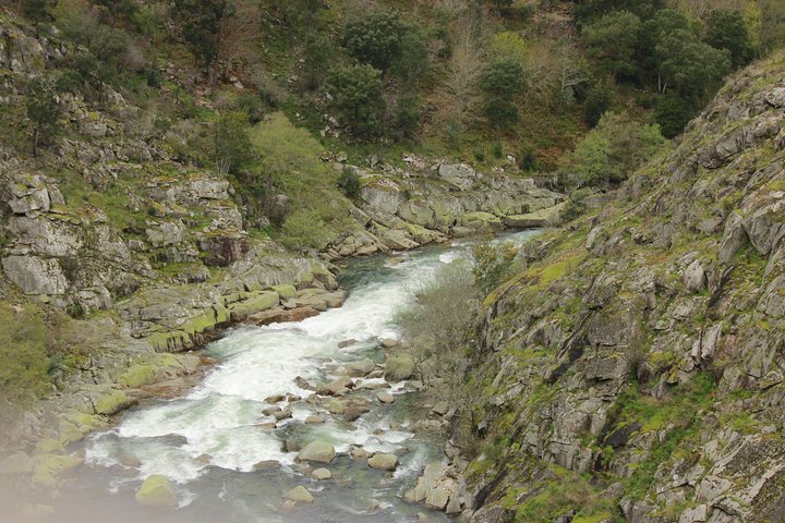Paiva Walkways - Private Tour - Image 3