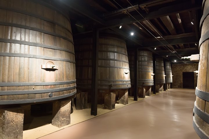 Porto Premium Tour from Lisbon – The Undefeated City (10h) - Image 3