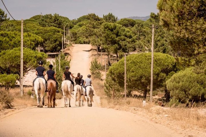 Private Alentejo Tour with Lunch and Horseback Ride along Melides Beach - Image 1