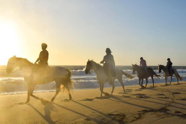 Private Alentejo Tour with Lunch and Horseback Ride along Melides Beach - Image 3