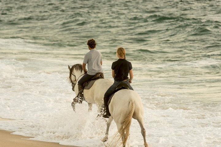 Private Alentejo Tour with Lunch and Horseback Ride along Melides Beach - Image 4