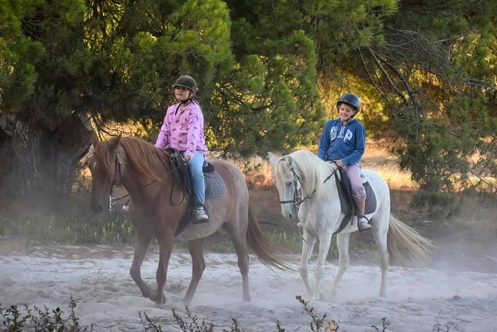 Private Alentejo Tour with Lunch and Horseback Ride along Melides Beach - Image 5