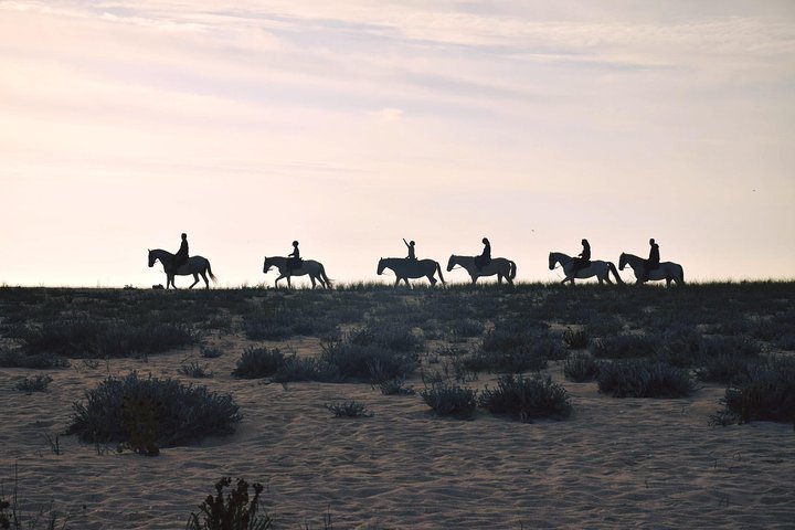 Private Alentejo Tour with Lunch and Horseback Ride along Melides Beach - Image 2