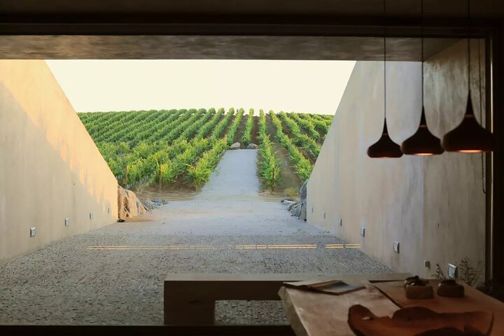 Private Alentejo with wine tasting - Image 1