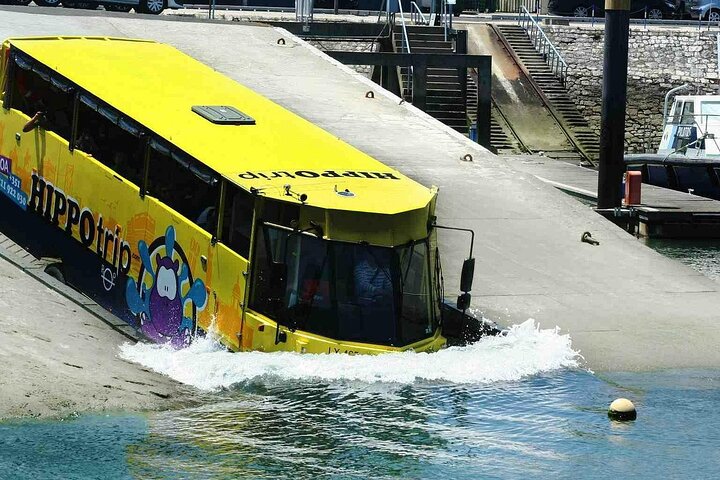 Private Amphibious Sightseeing and Castelo de São Jorge Trip - Image 1