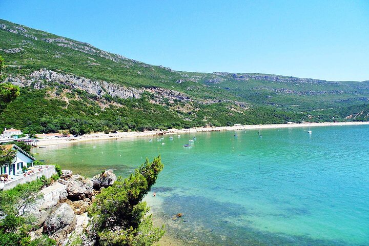 Private Arrábida Dolphin Watching Boat Tour with Wine Tasting - Image 1