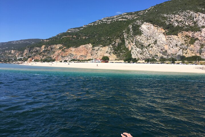 Private Arrábida Dolphin Watching Boat Tour with Wine Tasting - Image 3