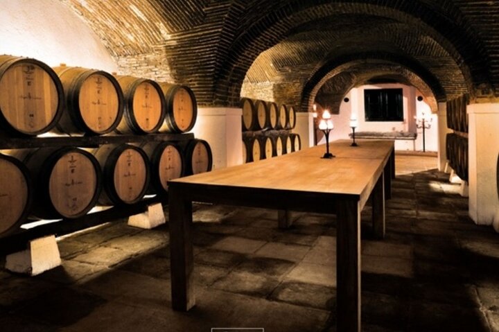 Private Full Day Évora and Alentejo Wine Tour from Lisbon  - Image 5
