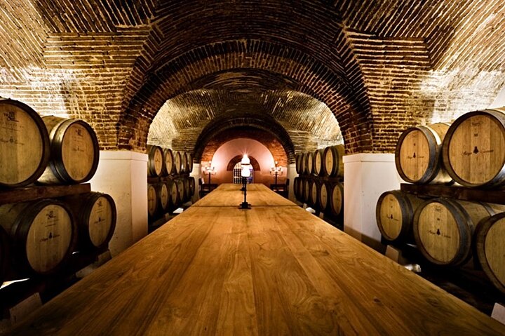 Private Full Day Évora and Alentejo Wine Tour from Lisbon  - Image 1