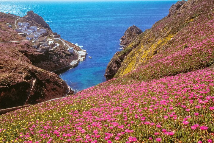 Private Full Day Tour to Berlengas Island from Lisbon - Image 5