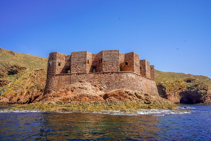 Private Full Day Tour to Berlengas Island from Lisbon - Image 2