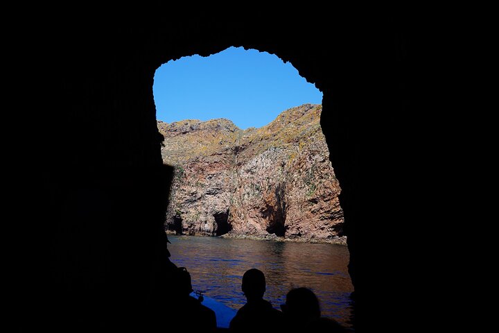 Private Full Day Tour to Berlengas Island from Lisbon - Image 3