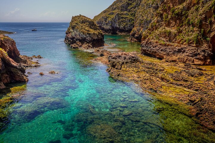 Private Full Day Tour to Berlengas Island from Lisbon - Image 4