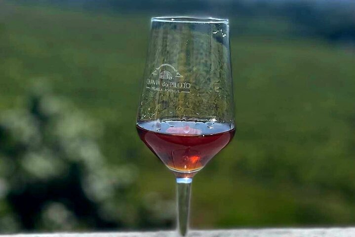 Private Full-Day Wine Tour with Food and Wine Tasting in Southern Lisbon - Image 2