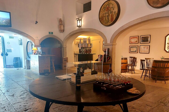 Private Full-Day Wine Tour with Food and Wine Tasting in Southern Lisbon - Image 3