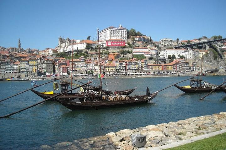 Private Porto from Lisbon with Portuguese lunch and Porto wine tasting - Image 1