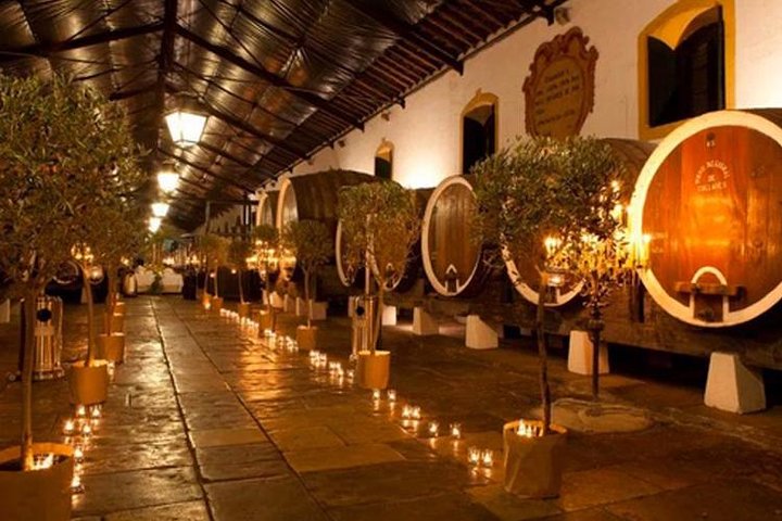 Private Sintra Tour from Lisbon with Cellar Visit and Wine Tasting - Image 4