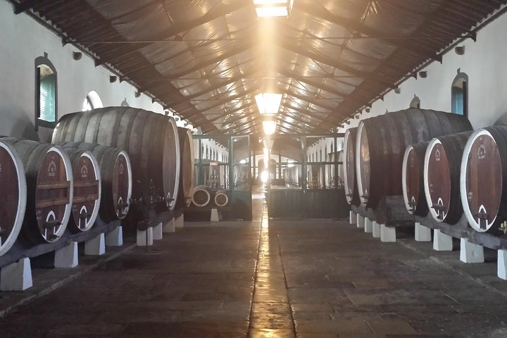 Private Tour - Arrábida and Sintra Wine tour - Image 2
