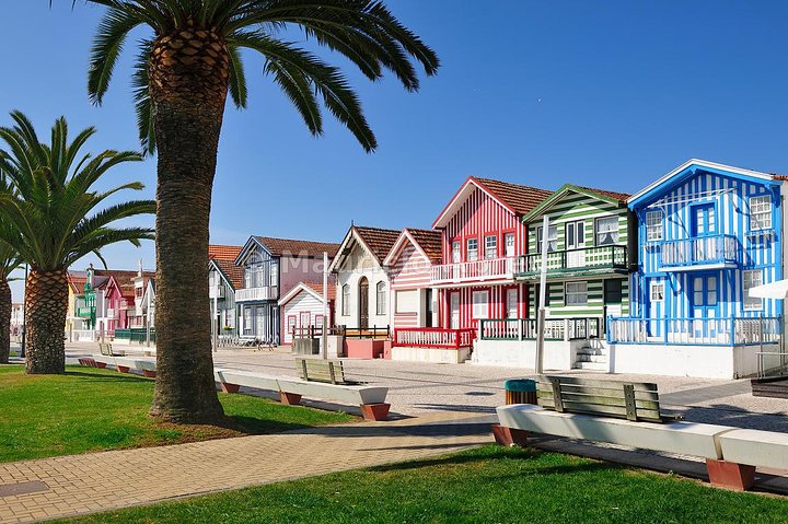 Private Tour Aveiro Little Venice and River Tour Moliceiro - Image 3