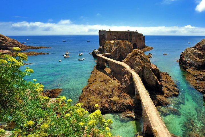Private Tour: Berlenga Grande Island Day Trip from Lisbon - Image 2