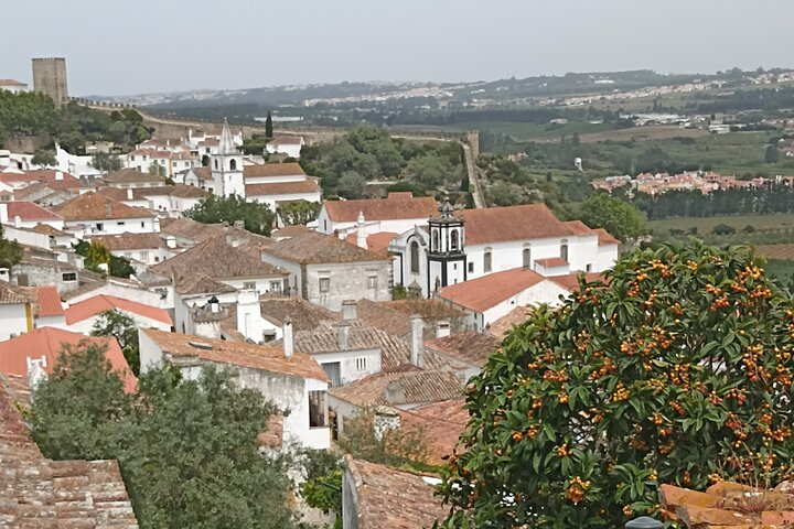 Private Tour from Lisbon to Fátima - Image 2