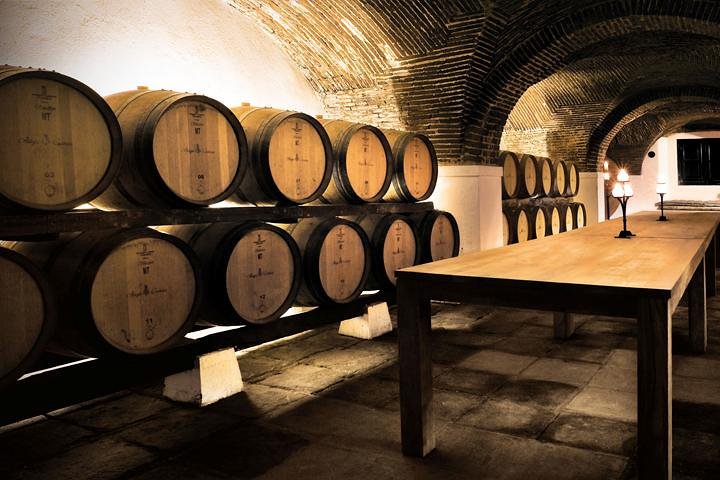 Private Tour Full Day in Évora with wine tasting: in Mercedes - Image 1