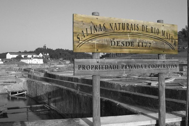 Private tour in Ribatejo with Falcon watch, lunch and typical villages - Image 2
