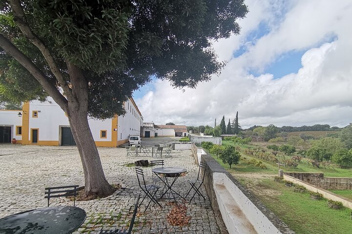 Private Tour to Evora with wine tasting at the Cartuxa Winery - Image 3