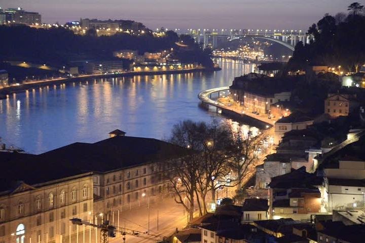Private Tour to History of Porto & Porto Calem Cellars & Wine Tasting - Image 3