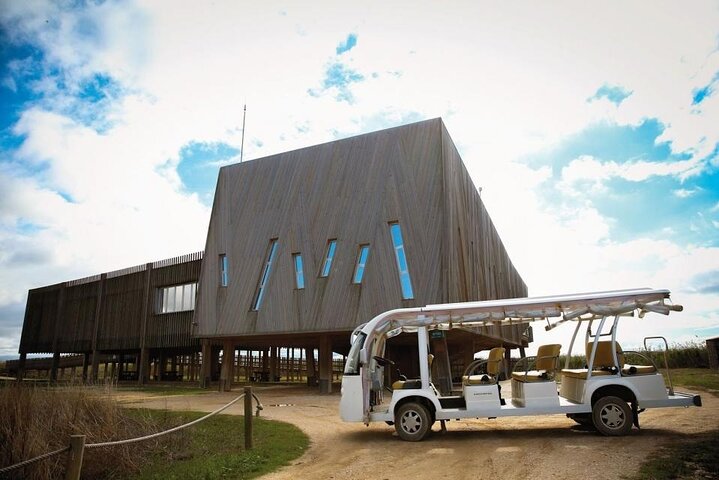 Ribatejo Private All Included fees and Lunch Day Tour With Birdwatching in EVOA - Image 3